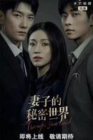 妻子的秘密韩剧大全免费高清在线观看